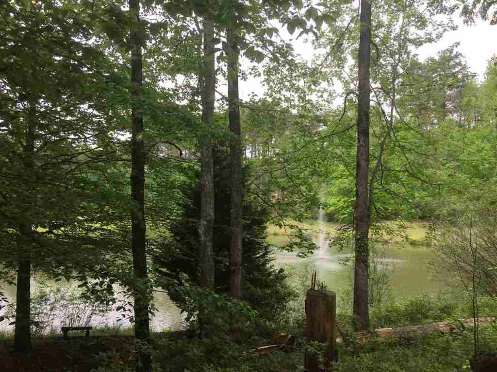 505 Springview Drive, Unit LAKE HARTWELL INTERIOR Westminster, SC 29693 - Photo 21 of 26 Gallery Image 21
