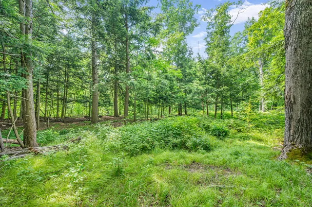 $432,000 | 8558 Monterey Drive, Evart, MI 49631