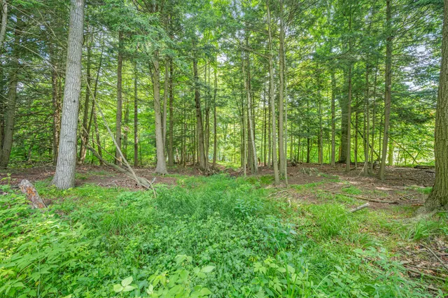 $432,000 | 8558 Monterey Drive, Evart, MI 49631