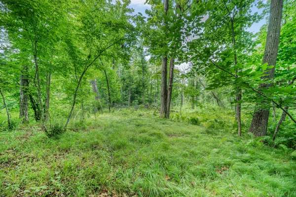 $395,000 | 8558 Monterey Drive, Evart, MI 49631