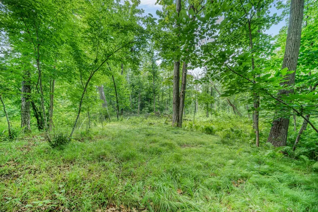 $432,000 | 8558 Monterey Drive, Evart, MI 49631