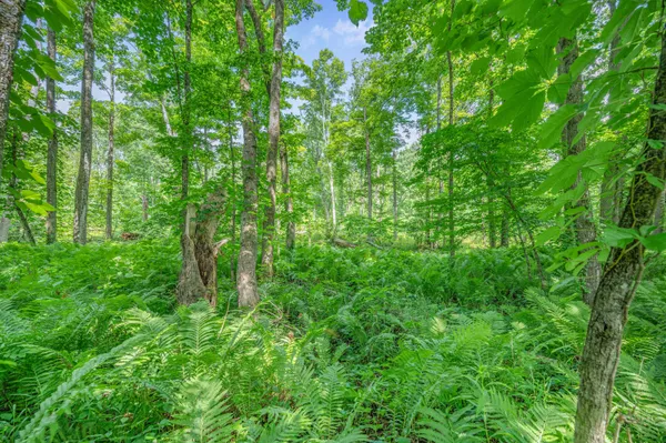 $395,000 | 8558 Monterey Drive, Evart, MI 49631