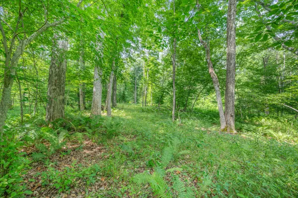 $395,000 | 8558 Monterey Drive, Evart, MI 49631
