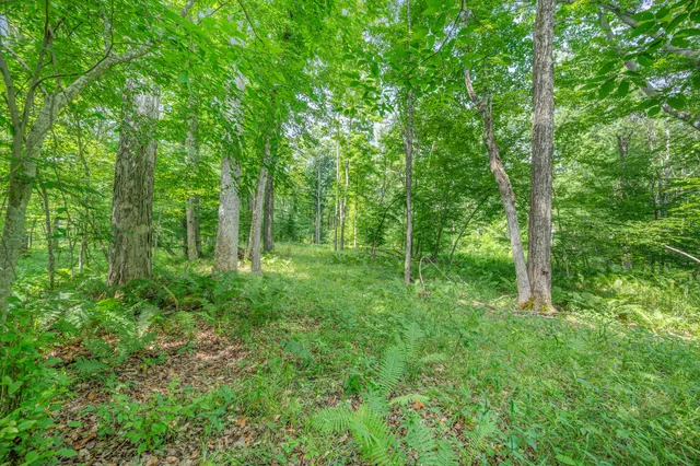 $432,000 | 8558 Monterey Drive, Evart, MI 49631