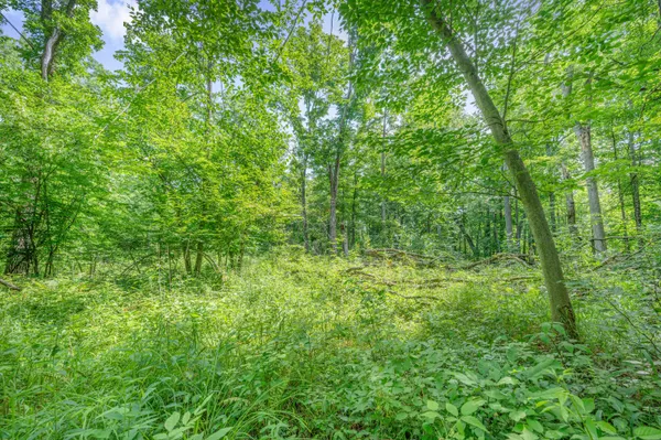 $395,000 | 8558 Monterey Drive, Evart, MI 49631