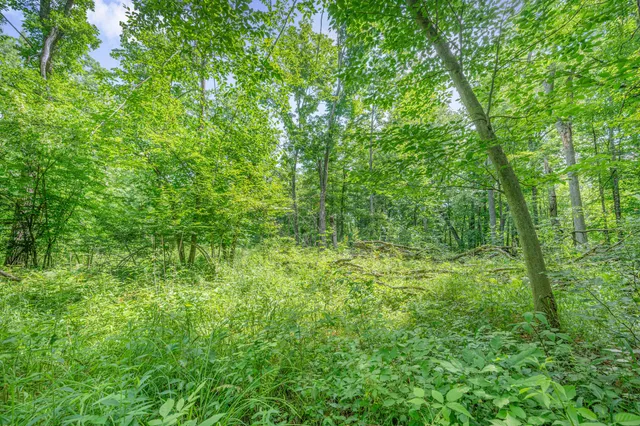 $432,000 | 8558 Monterey Drive, Evart, MI 49631