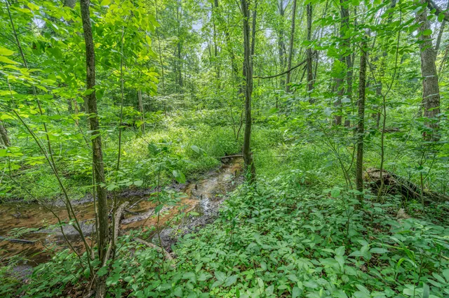 $432,000 | 8558 Monterey Drive, Evart, MI 49631