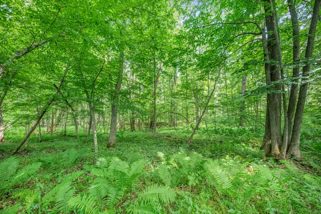 $432,000 | 8558 Monterey Drive, Evart, MI 49631