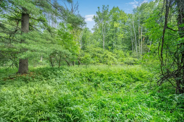 $395,000 | 8558 Monterey Drive, Evart, MI 49631