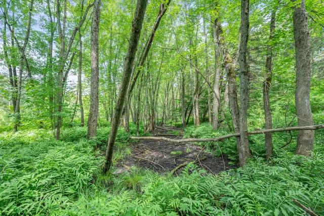 $432,000 | 8558 Monterey Drive, Evart, MI 49631