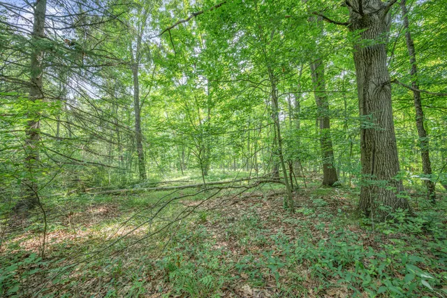 $432,000 | 8558 Monterey Drive, Evart, MI 49631