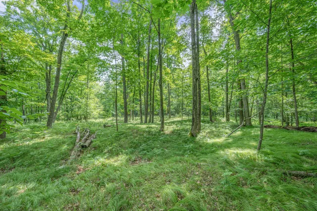 $432,000 | 8558 Monterey Drive, Evart, MI 49631