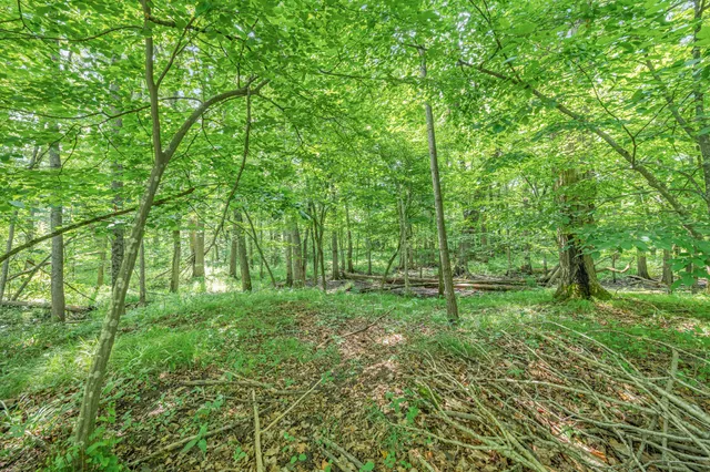 $432,000 | 8558 Monterey Drive, Evart, MI 49631