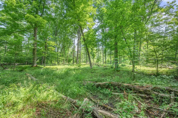 $395,000 | 8558 Monterey Drive, Evart, MI 49631