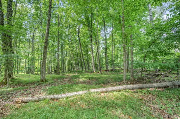 $395,000 | 8558 Monterey Drive, Evart, MI 49631
