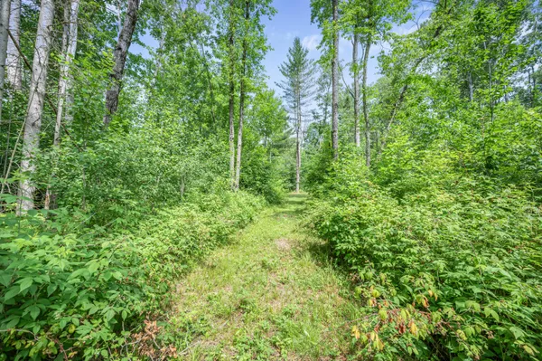 $395,000 | 8558 Monterey Drive, Evart, MI 49631