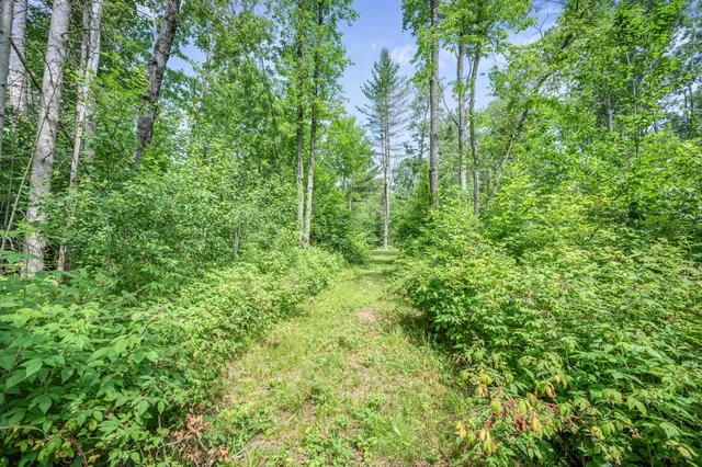 $432,000 | 8558 Monterey Drive, Evart, MI 49631