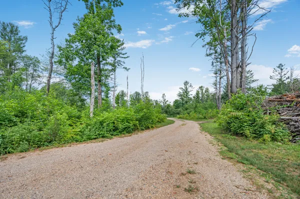 $395,000 | 8558 Monterey Drive, Evart, MI 49631