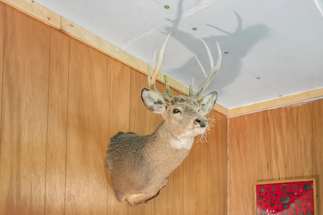 $432,000 | 8558 Monterey Drive, Evart, MI 49631