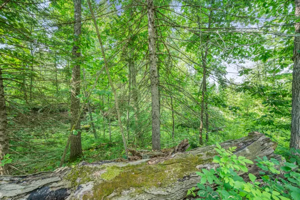 $395,000 | 8558 Monterey Drive, Evart, MI 49631