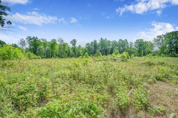 $395,000 | 8558 Monterey Drive, Evart, MI 49631