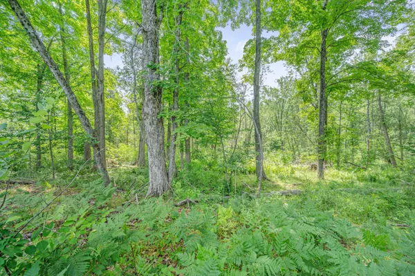 $395,000 | 8558 Monterey Drive, Evart, MI 49631