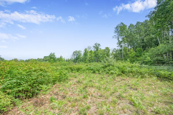 $395,000 | 8558 Monterey Drive, Evart, MI 49631