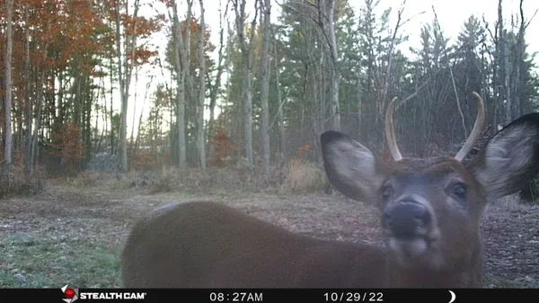 $395,000 | 8558 Monterey Drive, Evart, MI 49631