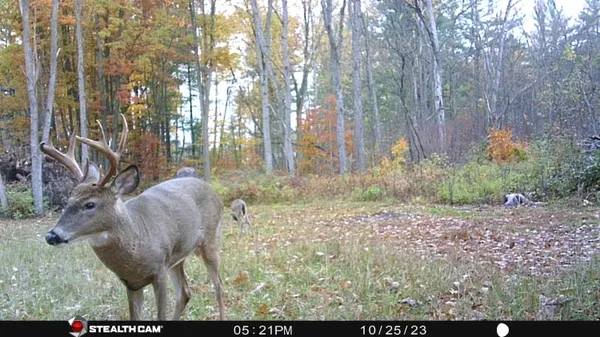 $395,000 | 8558 Monterey Drive, Evart, MI 49631