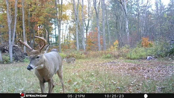 $395,000 | 8558 Monterey Drive, Evart, MI 49631