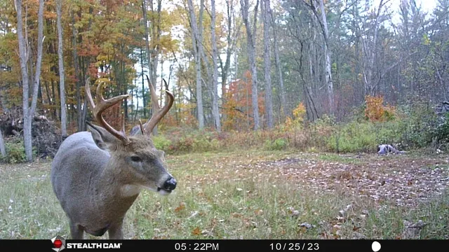 $432,000 | 8558 Monterey Drive, Evart, MI 49631