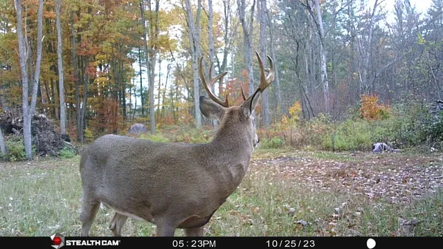 $432,000 | 8558 Monterey Drive, Evart, MI 49631