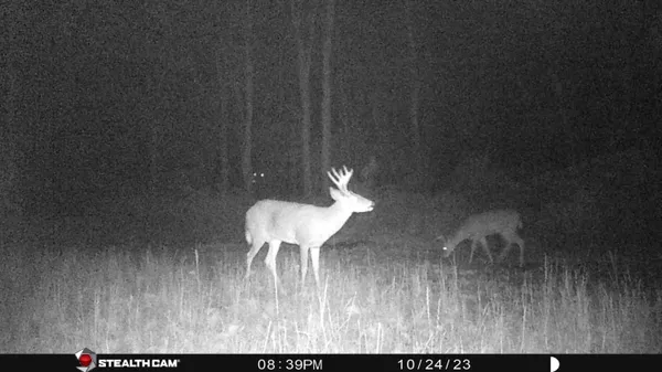 $395,000 | 8558 Monterey Drive, Evart, MI 49631