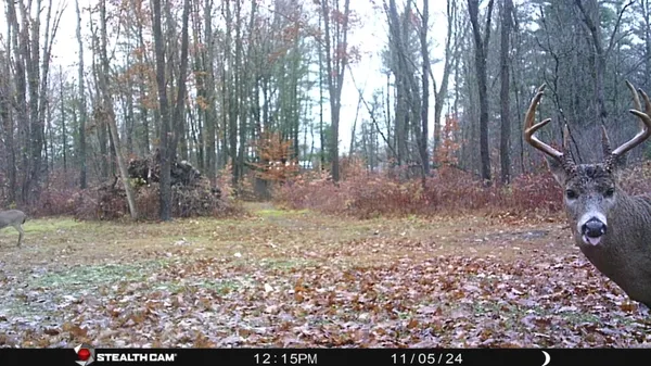 $395,000 | 8558 Monterey Drive, Evart, MI 49631