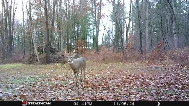 $432,000 | 8558 Monterey Drive, Evart, MI 49631