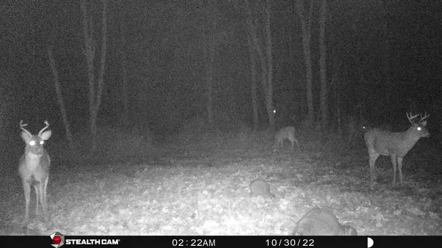 $432,000 | 8558 Monterey Drive, Evart, MI 49631