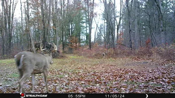 $395,000 | 8558 Monterey Drive, Evart, MI 49631