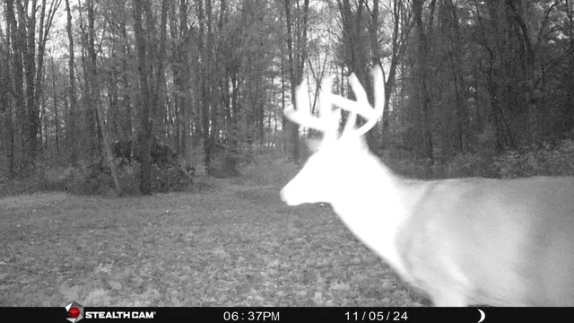 $432,000 | 8558 Monterey Drive, Evart, MI 49631