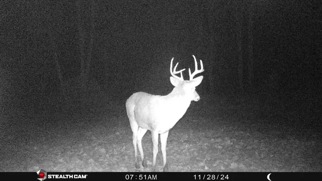 $432,000 | 8558 Monterey Drive, Evart, MI 49631