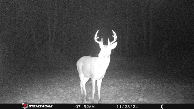 $432,000 | 8558 Monterey Drive, Evart, MI 49631