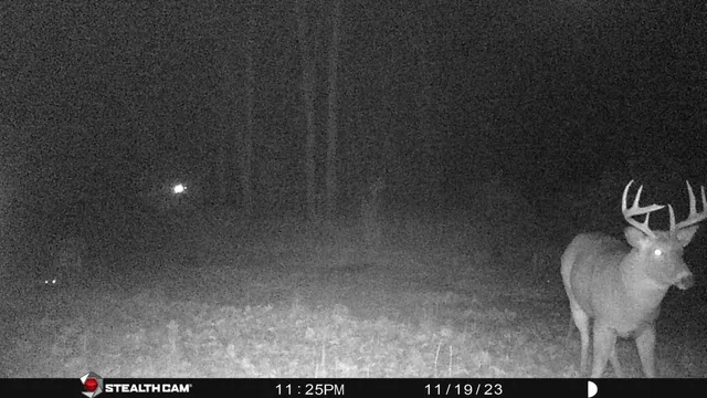 $432,000 | 8558 Monterey Drive, Evart, MI 49631