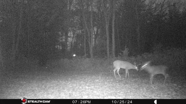 $395,000 | 8558 Monterey Drive, Evart, MI 49631