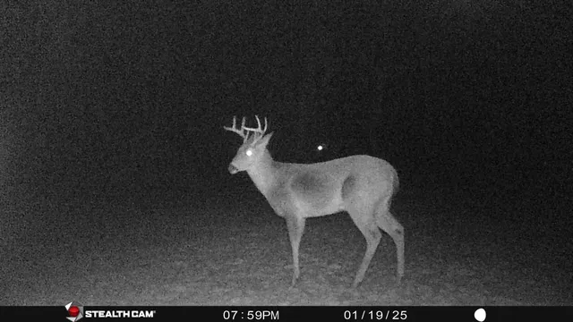 $432,000 | 8558 Monterey Drive, Evart, MI 49631