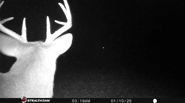 $395,000 | 8558 Monterey Drive, Evart, MI 49631