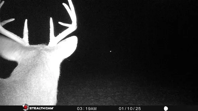 $432,000 | 8558 Monterey Drive, Evart, MI 49631