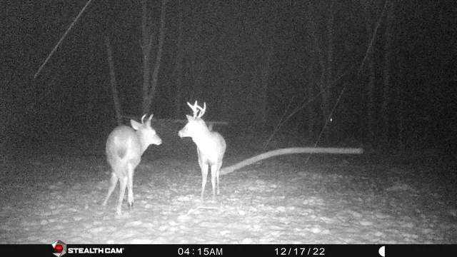 $432,000 | 8558 Monterey Drive, Evart, MI 49631