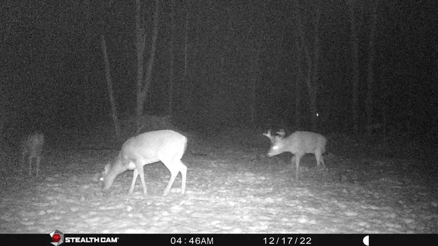 $432,000 | 8558 Monterey Drive, Evart, MI 49631