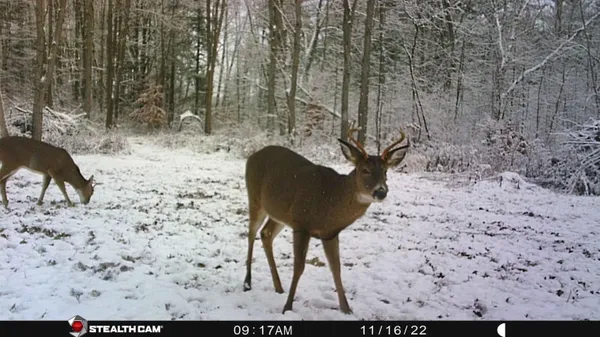 $395,000 | 8558 Monterey Drive, Evart, MI 49631