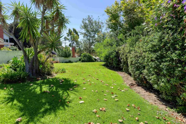 a view of yard with green space