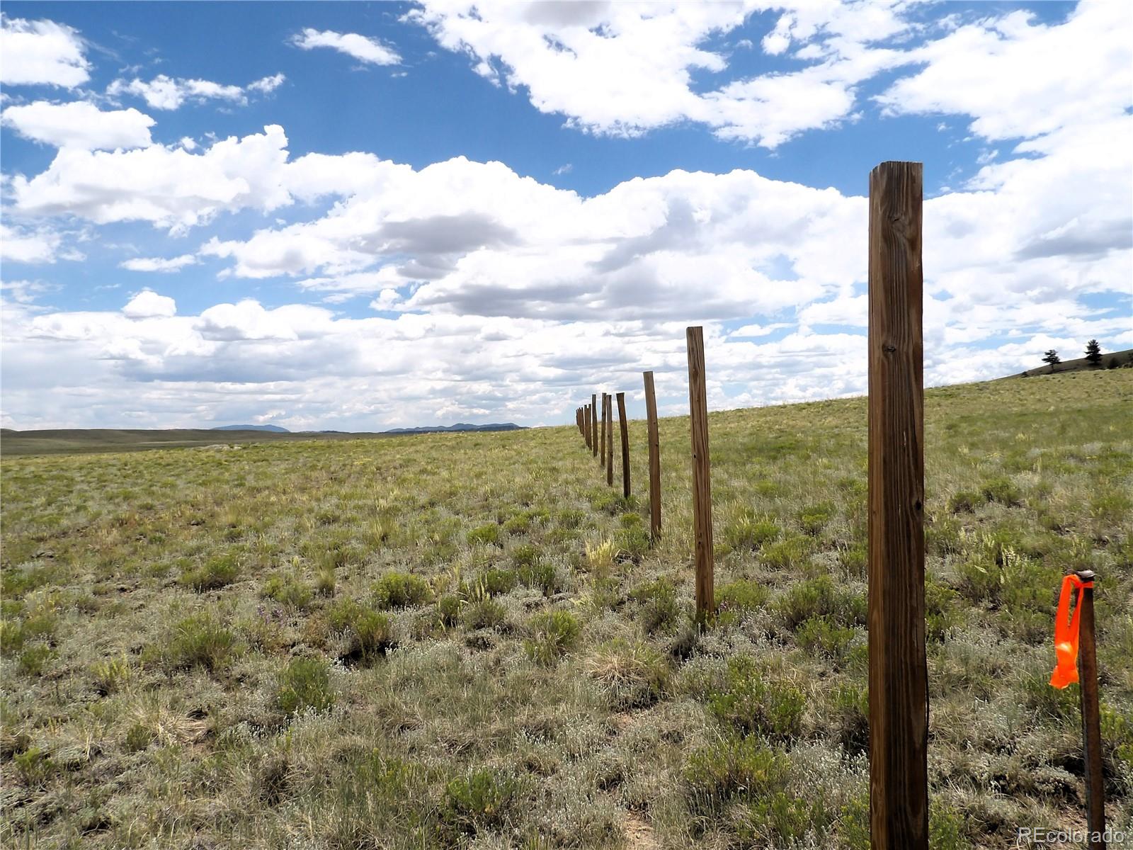 396 Stirrup Road Hartsel, CO 80449 - Photo 20 of 50 Gallery Image 20
